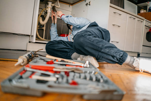 Best Water Heater Repair  in Lemay, MO