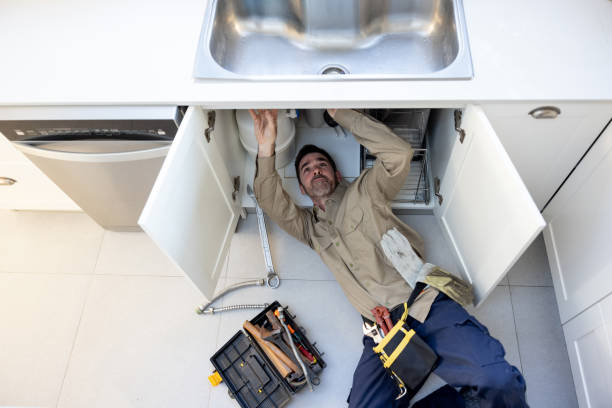 Best Sprinkler Systems  in Lemay, MO