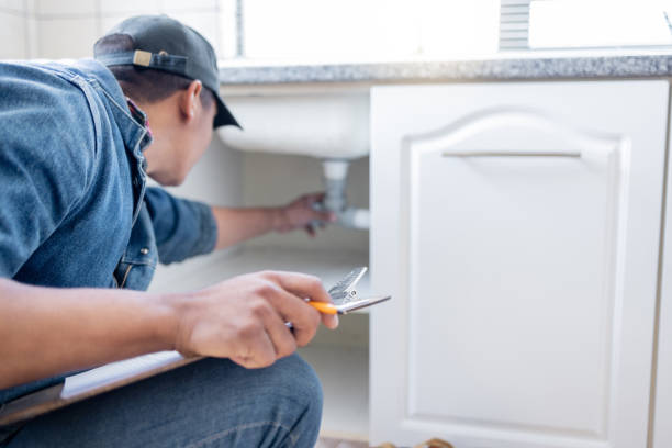 Best Residential Plumbing Services  in Lemay, MO