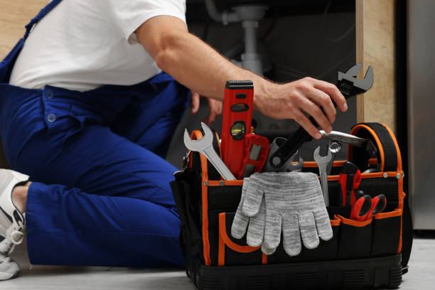 Best Same-Day Plumbing Service  in Lemay, MO