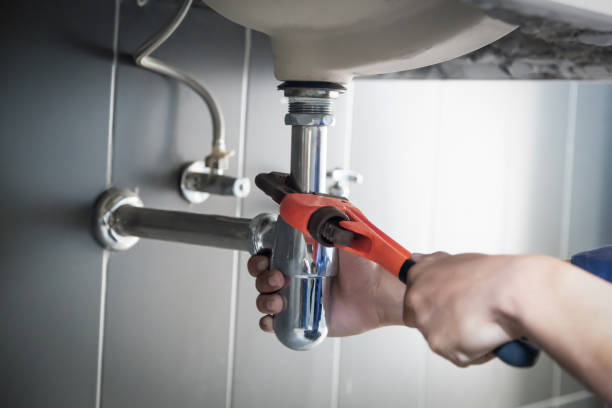 Best Commercial Plumbing Services  in Lemay, MO